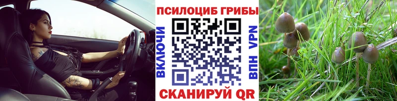 Псилоцибиновые грибы GOLDEN TEACHER  гидра как войти  Абаза 